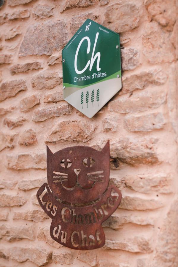 Les Chambres Du Chat Sainte-Cécile Exterior photo