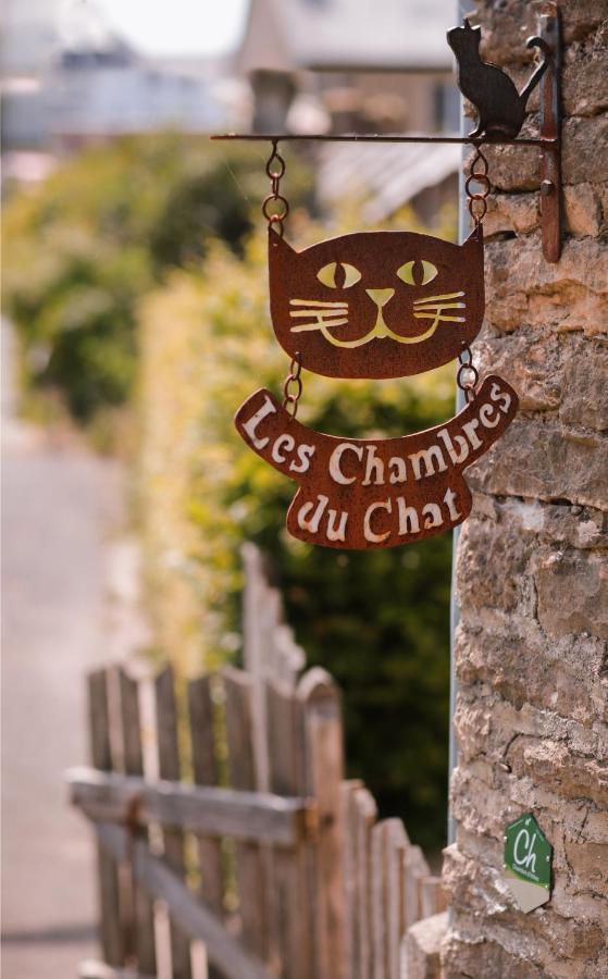 Les Chambres Du Chat Sainte-Cécile Exterior photo